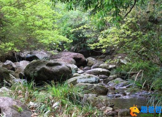 松间沙路净无泥，潇潇暮雨子规啼