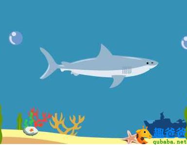 与大白鲨擦肩而过