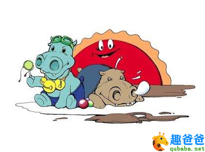 河马呼噜伙伴