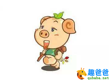 宝贝猪的花手绢