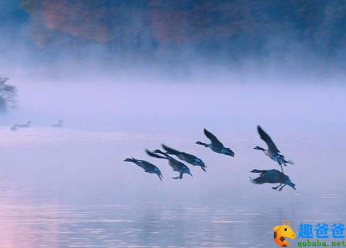“雁渡寒潭，雁过而潭不留影。”这句诗是出自哪里?