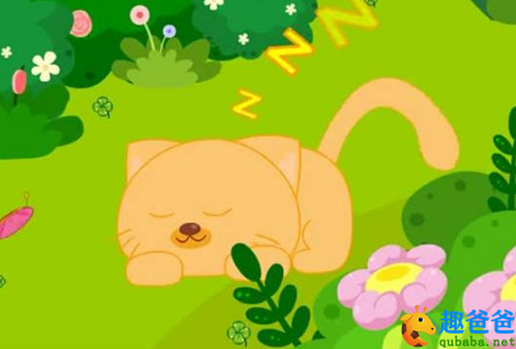 大米和小猫的故事