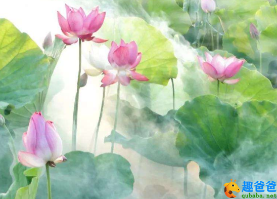 小学古诗文大全 一年级古诗 江南