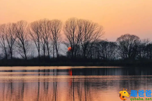 东风袅袅泛崇光，香雾空蒙月转廊