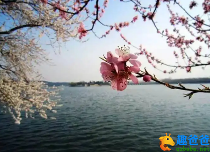 黄师塔前江水东，春光懒困倚微风