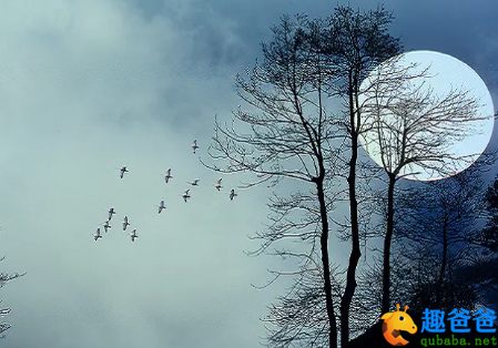 月出惊山鸟，时鸣春涧中