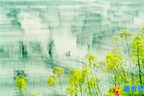 庆清朝慢·踏青