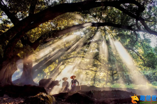 40句诗酒田园诗句，领略古人笔下的田园牧歌生活