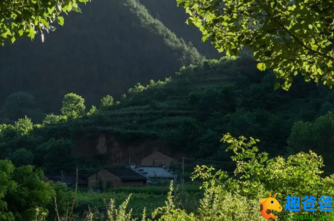 悄无人、桐阴转午，晚凉新浴