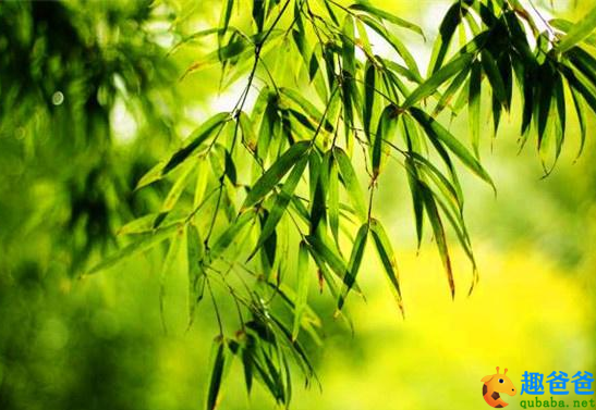 借与门前磐石坐，柳阴亭午正风凉