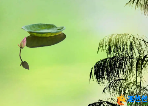 向浅洲远渚，亭亭清绝