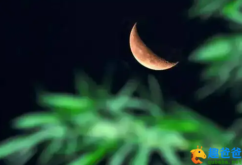 琴书倦，鹧鸪唤起南窗睡