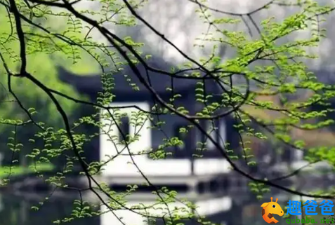 鸟雀呼晴，侵晓窥檐语