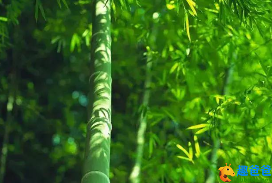 收藏！30首夏日诗词，人间最美是初夏！