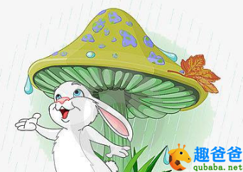 蘑菇伞下的笑声