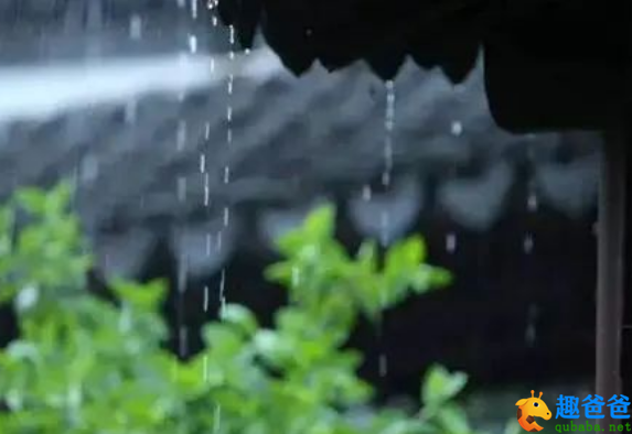 诗词丨盛夏时光静浅，倚窗听雨绵绵