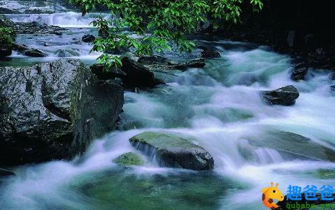 问渠哪得清如许？为有源头活水来